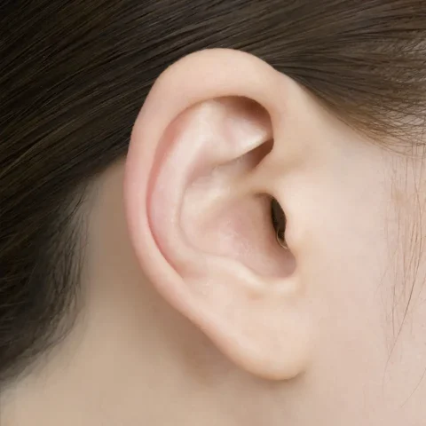 極タイプ、真横から見てもほぼ見えません